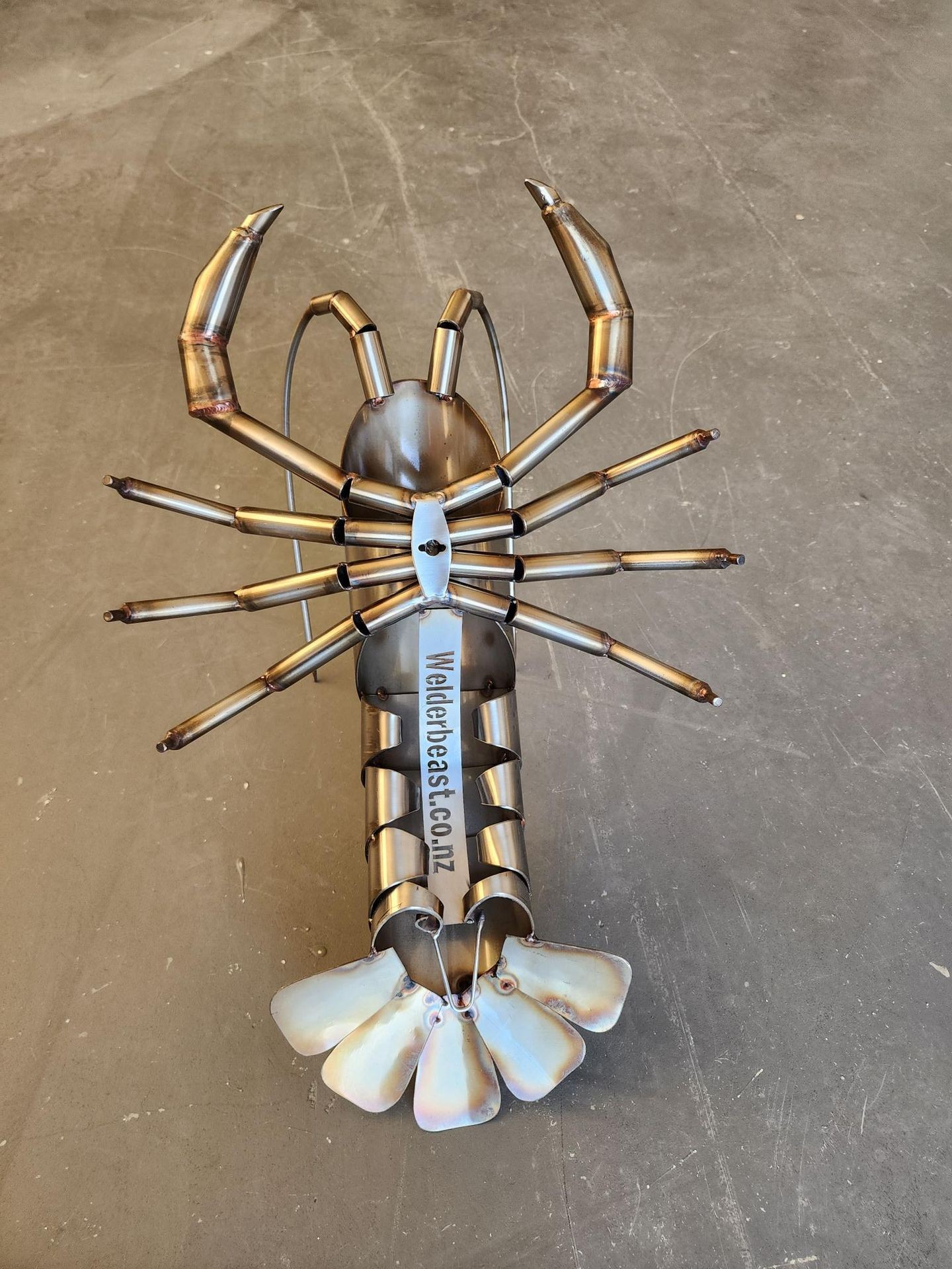 Crayfish "Koura"